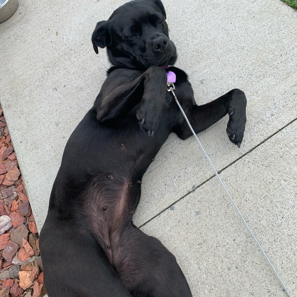 Meet your Posher, Juli